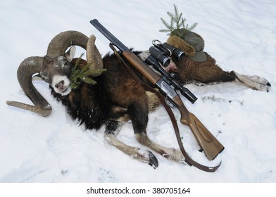 Mouflon Hunting Trophy With Gun On Snow