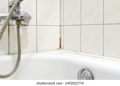 Mould In A Bathroom And The Tiles