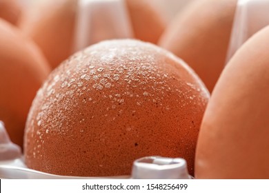 Mould Growing On Eggs Stored Improperly In Wet And Cold Fridge For Long, Closeup Macro Detail