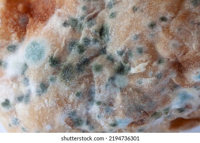 Mould Growing On Food. Macro Photography.