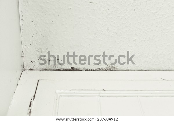 Mould On Ceiling Due Damp Stock Photo Edit Now 237604912