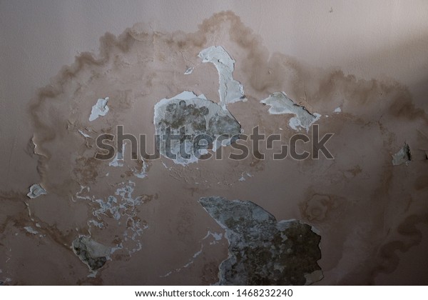 Mould On Ceiling Leak Stains Peeling Stock Photo Edit Now 1468232240