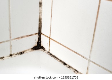 Mould On Tiles In A Bathroom