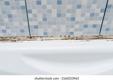 Mould On Tiles In A Bathroom