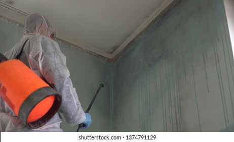 Imagenes Fotos De Stock Y Vectores Sobre Spray Ceiling