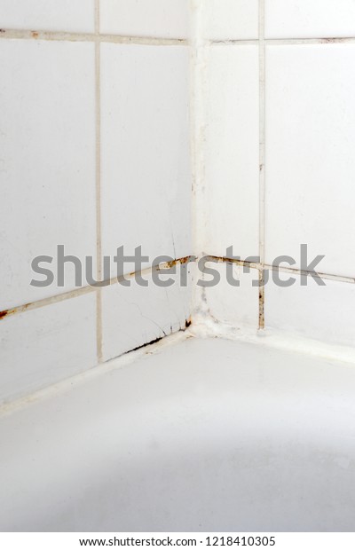 Mould White Bathroom On Tiles Silicon Stock Photo Edit Now
