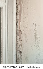 Mould And Wood Rot On A Window Frame And Wall