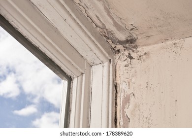 Mould And Wood Rot On A Window Frame And Wall