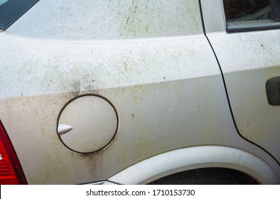 Mouldy Rusted Car Barn Find Old Car Covered In Moss And Algae Fuel Cap Stained And Marked Paintwork Body Parked Up Left To Rot Away Unloved Vehicle To Be Restored Terrible Ruined Bodywork On Silver 