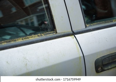 Mouldy Rusted Car Barn Find Old Car Covered In Moss Window Trim Stained And Marked Paintwork Body Parked Up Left To Rot Away Unloved Vehicle To Be Restored Terrible Ruined Bodywork On Silver 