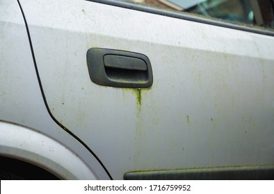 Mouldy Rusted Car Barn Find Old Car Covered In Moss And Door Handle Stained And Marked Paintwork Body Parked Up Left To Rot Away Unloved Vehicle To Be Restored Terrible Ruined Bodywork On Silver 