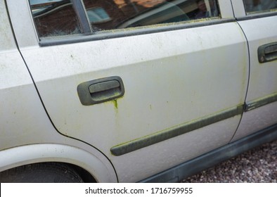 Mouldy Rusted Car Barn Find Old Car Covered In Moss And Door Handle Stained And Marked Paintwork Body Parked Up Left To Rot Away Unloved Vehicle To Be Restored Terrible Ruined Bodywork On Silver 