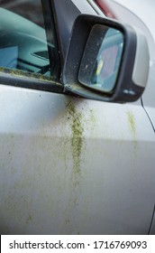 Mouldy Rusted Car Barn Find Old Car Covered In Moss And Wing Mirror Stained And Marked Paintwork Body Parked Up Left To Rot Away Unloved Vehicle To Be Restored Terrible Ruined Bodywork On Silver 