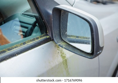 Mouldy Rusted Car Barn Find Old Car Covered In Moss And Wing Mirror Stained And Marked Paintwork Body Parked Up Left To Rot Away Unloved Vehicle To Be Restored Terrible Ruined Bodywork On Silver 