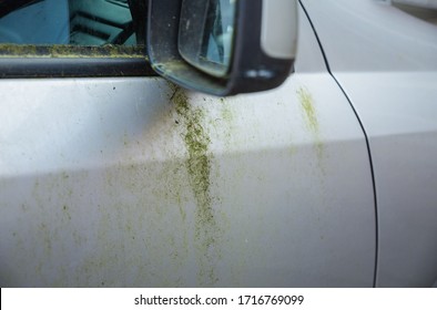 Mouldy Rusted Car Barn Find Old Car Covered In Moss And Wing Mirror Stained And Marked Paintwork Body Parked Up Left To Rot Away Unloved Vehicle To Be Restored Terrible Ruined Bodywork On Silver 