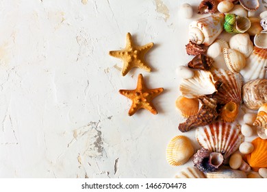 A mound of colorful seashells, sea pebbles and starfishes on a white textured background with plaster on the right of the photo. Sea or oceanic exotic background. Seashell frame, copy space. - Shutterstock ID 1466704478