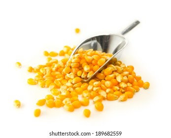 A mound of dried corn kernels or unpopped popcorn kernels, and a serving spoon,   isolated on white. 