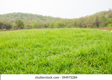 Mound Slope Green Grass