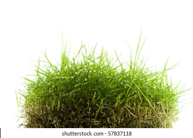 Mound Of Wet Zoysia Grass Isolated On White Background