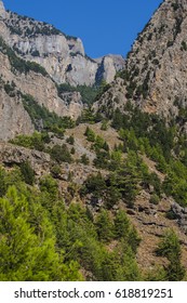 mount