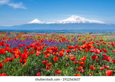 Mount Ararat (Turkey) at 5,137 m viewed from Yerevan, Armenia. This snow-capped dormant compound volcano consists of two major volcanic cones described in the Bible as the resting place of Noah's Ark. - Powered by Shutterstock