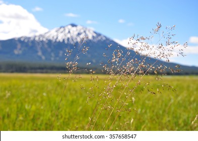 Mount Bachelor, Oregon, U.S.A.