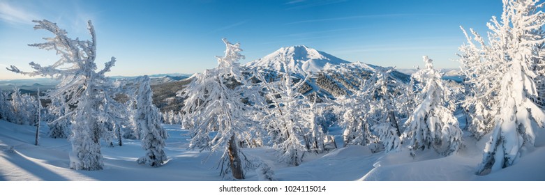 Mount Bachelor from the top of Tumalo Mountain near Bend, Oregon