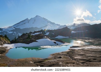 are dogs allowed in mt baker wilderness