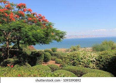 Mount of Beatitudes,  Israel, view on the lake genezareth 