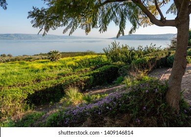 Mount of Beatitudes on the Sea of Galilee (Lake Tiberias) where Jesus delivered the Sermon on the Mount.