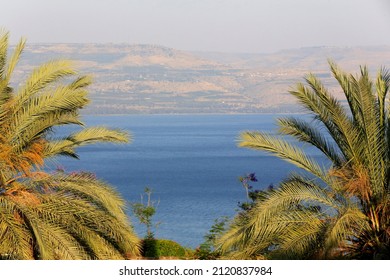 Mount of Beatitudes. Tiberias lake.  israel. 