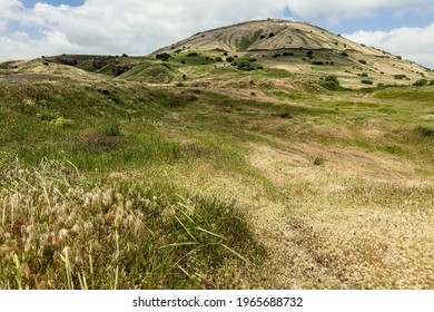 Mount Bental In April. The Landscape Of Israel