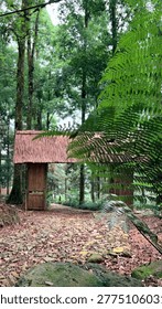 Mount Bunder, Bogor, West Java, Indonesia