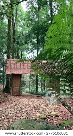 Mount Bunder, Bogor, West Java, Indonesia