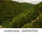  Mount Camel and the gorgeous views from it! Samarskaya Luka National Park!
