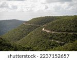 Mount Carmel National Park. view of Carmel forest Israel. A path in the forest.