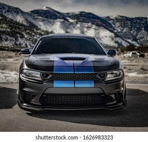 Hellcat Images Stock Photos Vectors Shutterstock