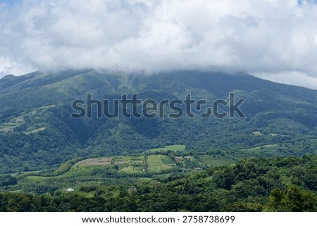 The Mount Pelée in the clouds, as seen from the observatory road  (Saint-Pierre, Martinique, France)