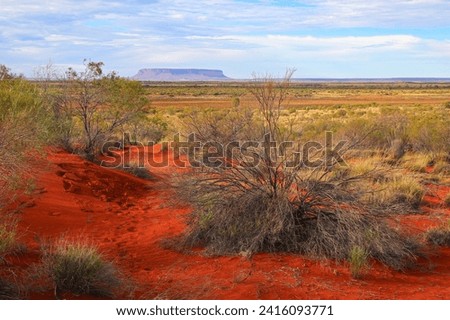 Mount Conner aka Fooluru in the desert plains of the Red Center of Australia in the Northern Territory - Flat inselberg made of sandstone by erosion, called Attila or Attila by the natives