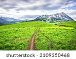 Mount Crested Butte in Gunnison county open valley hill meadow field summer yellow wildflowers and town houses townscape rocky mountain snow capped peak cloudy sky