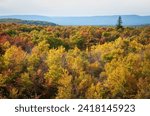 Mount Davis During Autumn in Forbes State Forest, Pennsylvania, USA