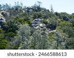 Mount Diablo, Rock City California