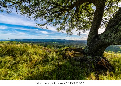 Mount Diablo State Park in California