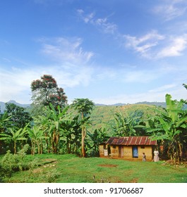 Mount Elgon National Park, Uganda, East Africa