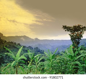 Mount Elgon National Park, Uganda, East Africa