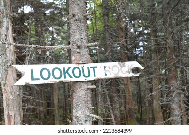 Mount Equinox, Vermont, USA Trees  Nature