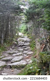 Mount Equinox, Vermont, USA Trees  Nature