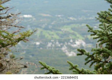 Mount Equinox, Vermont, USA Trees  Nature