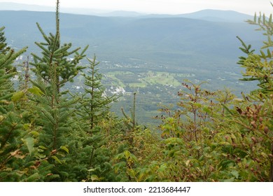 Mount Equinox, Vermont, USA Trees  Nature