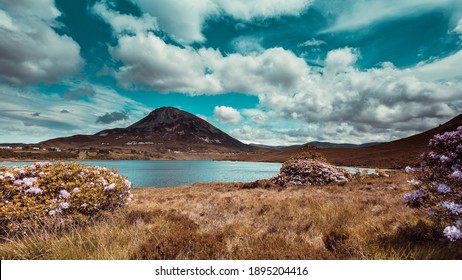 Mount Errigal, Co. Donegal, Ireland, Mount Errigal, Co. Donegal, Ireland, Reflected In Blue Lake Surrounded By Peatland In National Park